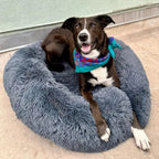 Anxiety Relieving Plush Dog Bed Calming Comfort